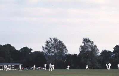 The Tewin Cricket Club