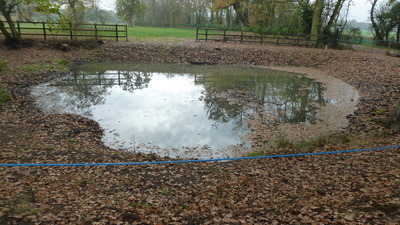 11 The village pond 2011