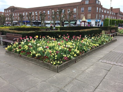 05/2017 Flower beds Welwyn Garden City
