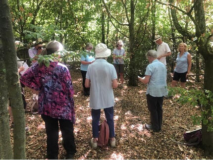 100-year wood hosts poem-reading at St Peter's Poetry Pilgrimage 2022
