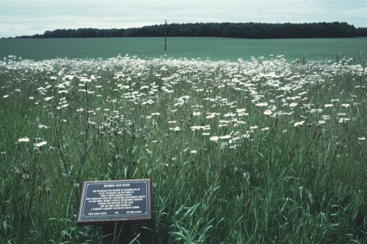 The sign was in the wild flower meadow.