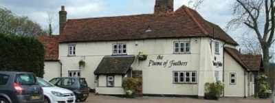 The Plume of Feathers