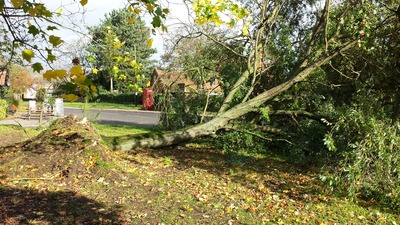 48 TEWIN STORM DAMAGE 2013