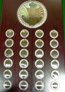  The Tewin Society Award plaque with engraved discs