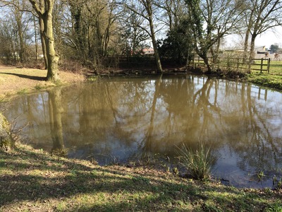 TEWIN POND