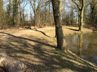 A SEAT IN THE SUNSHINE