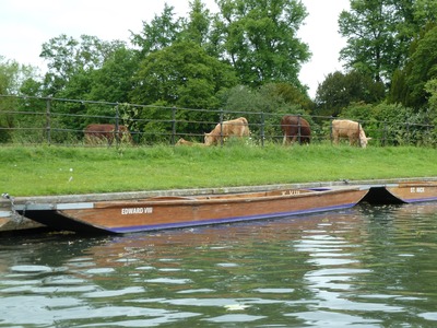 Kings College have their own punts for use by students. Each punt is named after a King.