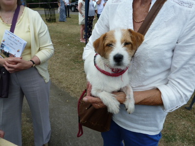 06/2015 Was your dog at the Tewin Summer Fete 2015