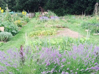 Allotments