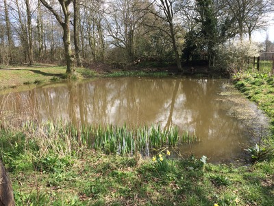 THE POND ON UPPER GREEN 