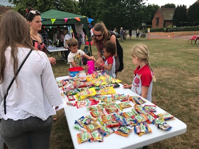 06/2017 Tewin Summer Fete