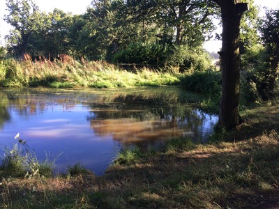 7/2018 VILLAGE POND