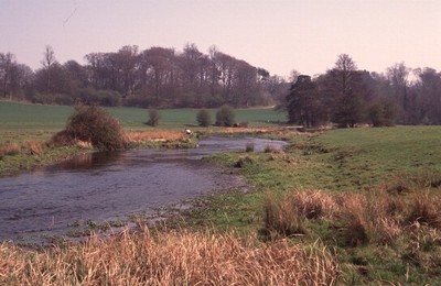 Riverside walk