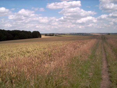 View over farmland towards Watton-at-Stone