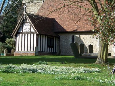 Snowdrops, Daffodils and Bluebells