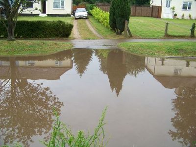 Reflections in the puddle