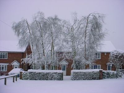 Winter of 2010