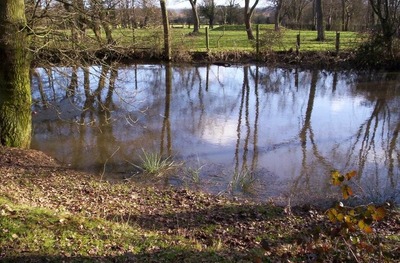 The pond on Upper Green
