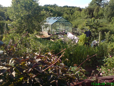 Orchard Garden