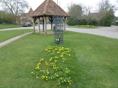 04 Tree planted in Don's  memory April 2011