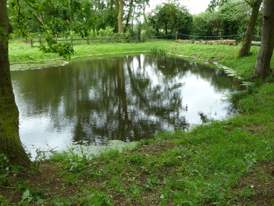 Upper Green Pond now filled with water.