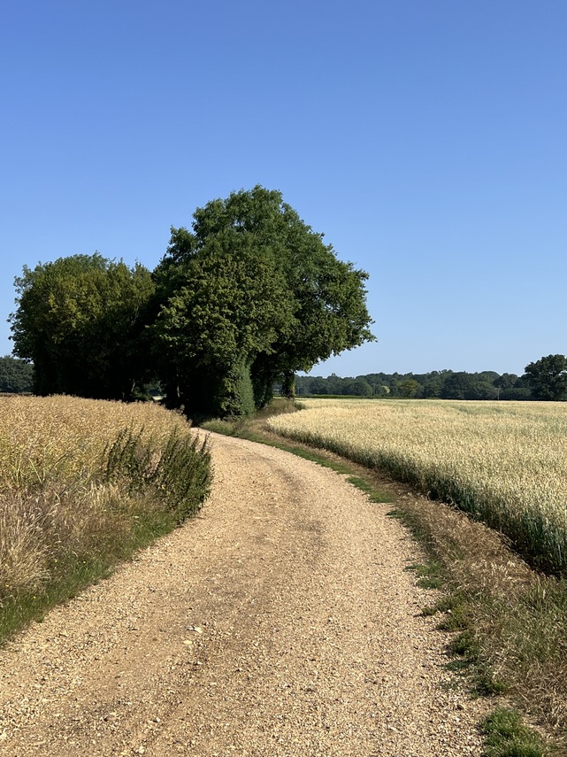 m.Lane in summer