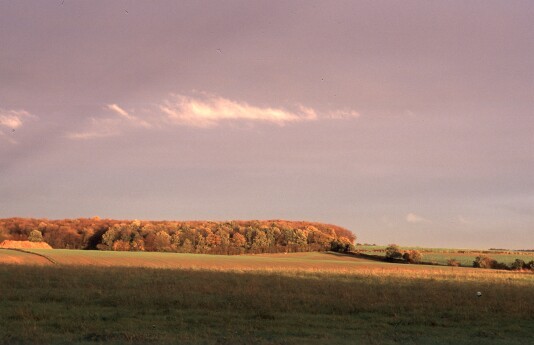 Bramfield_sunset.jpg